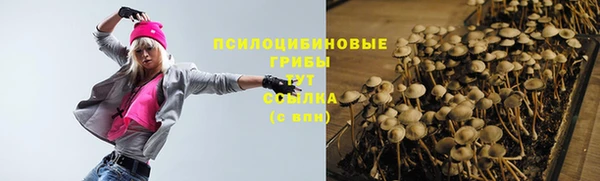 мет Лагань
