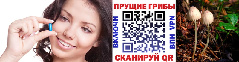 Псилоцибиновые грибы Psilocybe  нарко площадка клад  Мышкин 